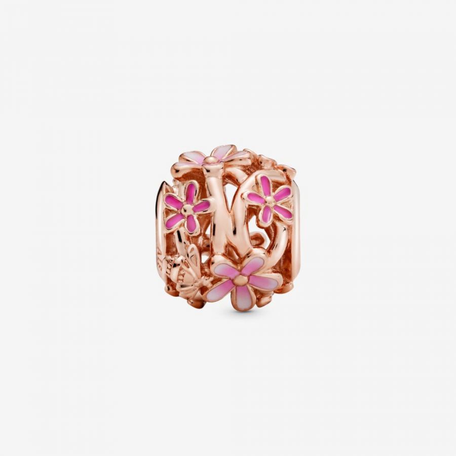 Rose Charm Rosafarbenes Gänseblümchen