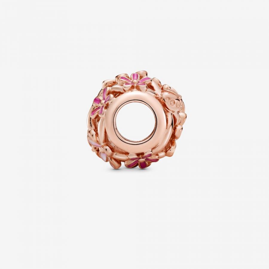 Rose Charm Rosafarbenes Gänseblümchen