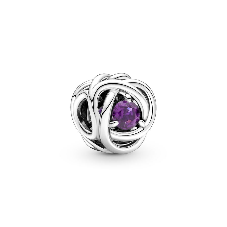 Charm Februar Geburtsstein Violetter Ewigkeitskreis Silber